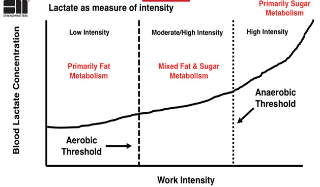 Aerobic Threshold