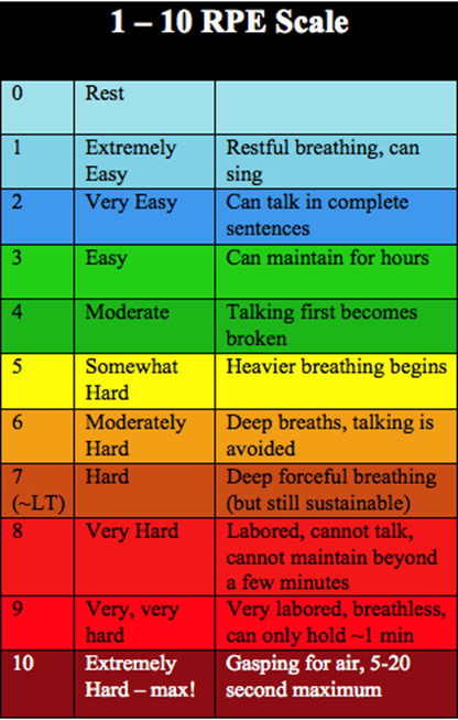 BORG SCALE